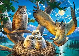 Owl Family Jigsaw Puzzle