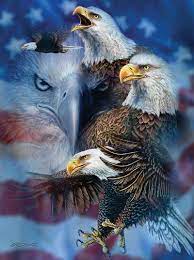 Patriotic Eagles Jigsaw Puzzle