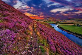 Pentland Hills, Scotland Jigsaw Puzzle