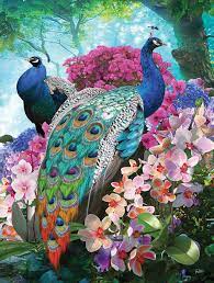 Pretty Peacocks Jigsaw Puzzle