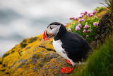 Puffin Lookout Jigsaw Puzzle