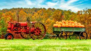 Pumpkin Hauling Jigsaw Puzzle