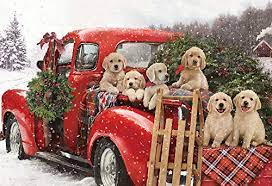 Puppies Holiday Ride Jigsaw Puzzle