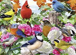 Ravensburger Garden Birds Jigsaw Puzzle