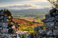 Rural Bliss Jigsaw Puzzle