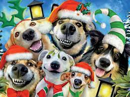 Selfies Dogs Christmas Jigsaw Puzzle