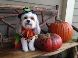 Selling Pumpkins Jigsaw Puzzle