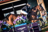 Showjumping Horse FEI Puzzle