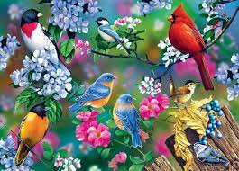 Songbird Collage Puzzle Jigsaw