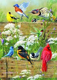 Songbird Menagerie Puzzle Jigsaw
