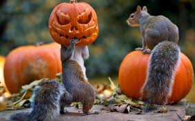 Squirrel Halloween Fun Jigsaw Puzzle