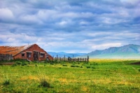 The Pasture Jigsaw Puzzle