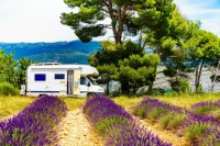 The Season Lavender Field Jigsaw Puzzle