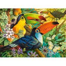 Toucan Interlude Puzzle Jigsaw