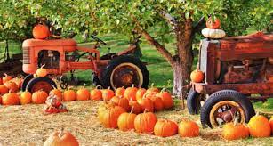 Tractors and Pumpkins Jigsaw Puzzle