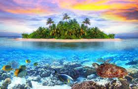 Tropic Life Jigsaw Puzzle