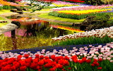 Tulip Garden