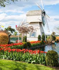 Tulip Town Jigsaw Puzzle