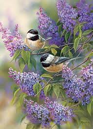 Desenhos de Two Chickadee Birds Jigsaw Puzzle para colorir