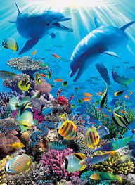 Underwater Adventure Jigsaw Puzzle