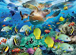 Underwater Paradise Jigsaw Puzzle