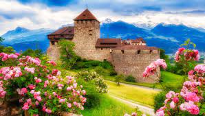 Vaduz Castle Roses Jigsaw Puzzle