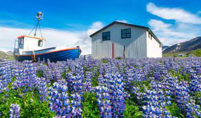 Westfjord Landscape Jigsaw Puzzle