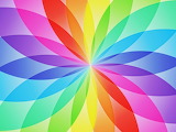 Wild Rainbow Artwork Jigsaw Puzzle