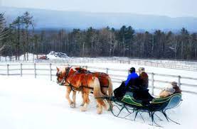 Desenhos de Winter Sleigh Ride Jigsaw Puzzle para colorir