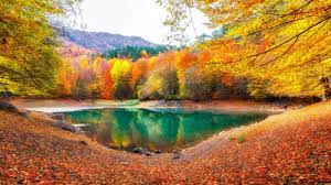 Yedigoller National Park Jigsaw Puzzle