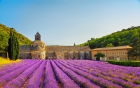 Abbey of Senanque, Gordes, France Jigsaw Puzzle