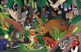 Animals, Insects, Plants Found in The Forest Jigsaw Puzzle