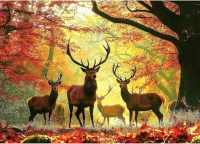Autumn Elk Nature Landscape Jigsaw Puzzle