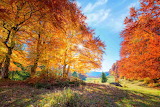 Desenhos de Autumn Scene Jigsaw Puzzle para colorir