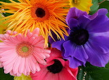 Desenhos de Beautiful Flowers Jigsaw Puzzle 2 para colorir
