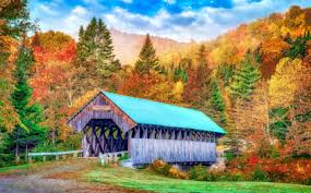 Desenhos de Bennett Bean Bridge Jigsaw Puzzle para colorir