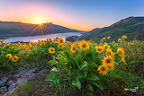 Blooming Wildflowers Hillside Columbia River Jigsaw Puzzle