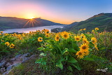 Blooming Wildflowers Hillside Columbia River Jigsaw Puzzle