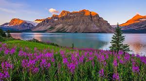 Desenhos de Bow Lake – Banff National Park Jigsaw Puzzle para colorir