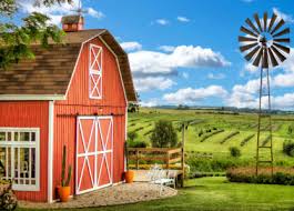 Desenhos de Brazil Farm Jigsaw Puzzle para colorir