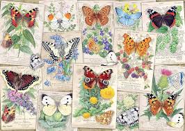 Butterfly Splendours Jigsaw Puzzle