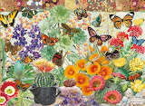 Desenhos de Cactus Garden Jigsaw Puzzle 2 para colorir