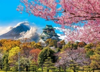 Cherry Blossoms in Osaka Castle Jigsaw Puzzle