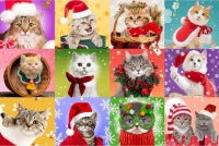 Desenhos de Christmas Cats Jigsaw Puzzle 2 para colorir