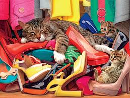 Closet Cats Jigsaw Puzzle