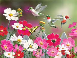 Cosmos Flower and Hummingbirds Jigsaw Puzzle