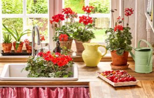 Desenhos de Cottage Kitchen Window Jigsaw Puzzle para colorir