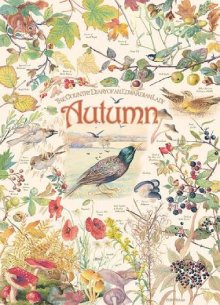 Desenhos de Country Diary: Autumn Jigsaw Puzzle para colorir