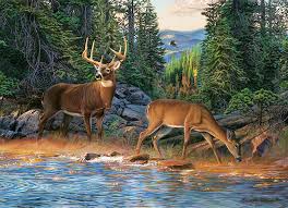 Desenhos de Deers by the River Jigsaw Puzzle para colorir