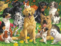 Desenhos de Dog Days – Garden Dogs Jigsaw Puzzle para colorir